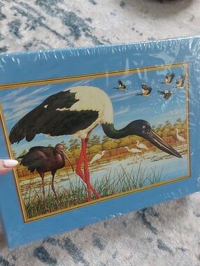💚5/$25 500pc Stork Puzzle Artwork By Kevin Stead Complete